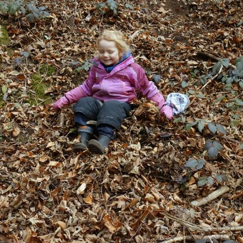 Herbstbild