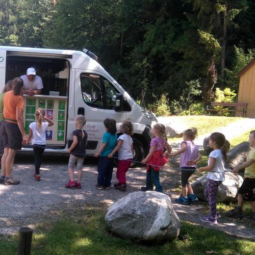 Sommerbild