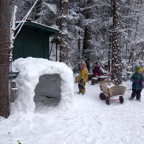 Winterbild