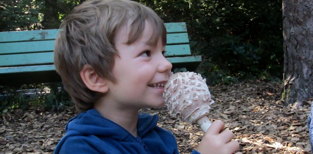 leitgedanke2 leitgedanke2